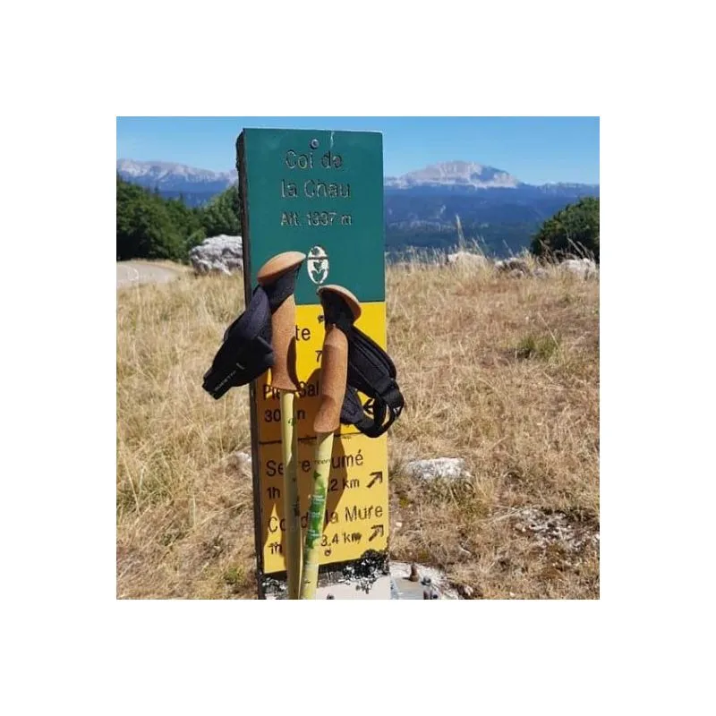 Bastoncini da trekking Guidetti Massiccio del Vercors