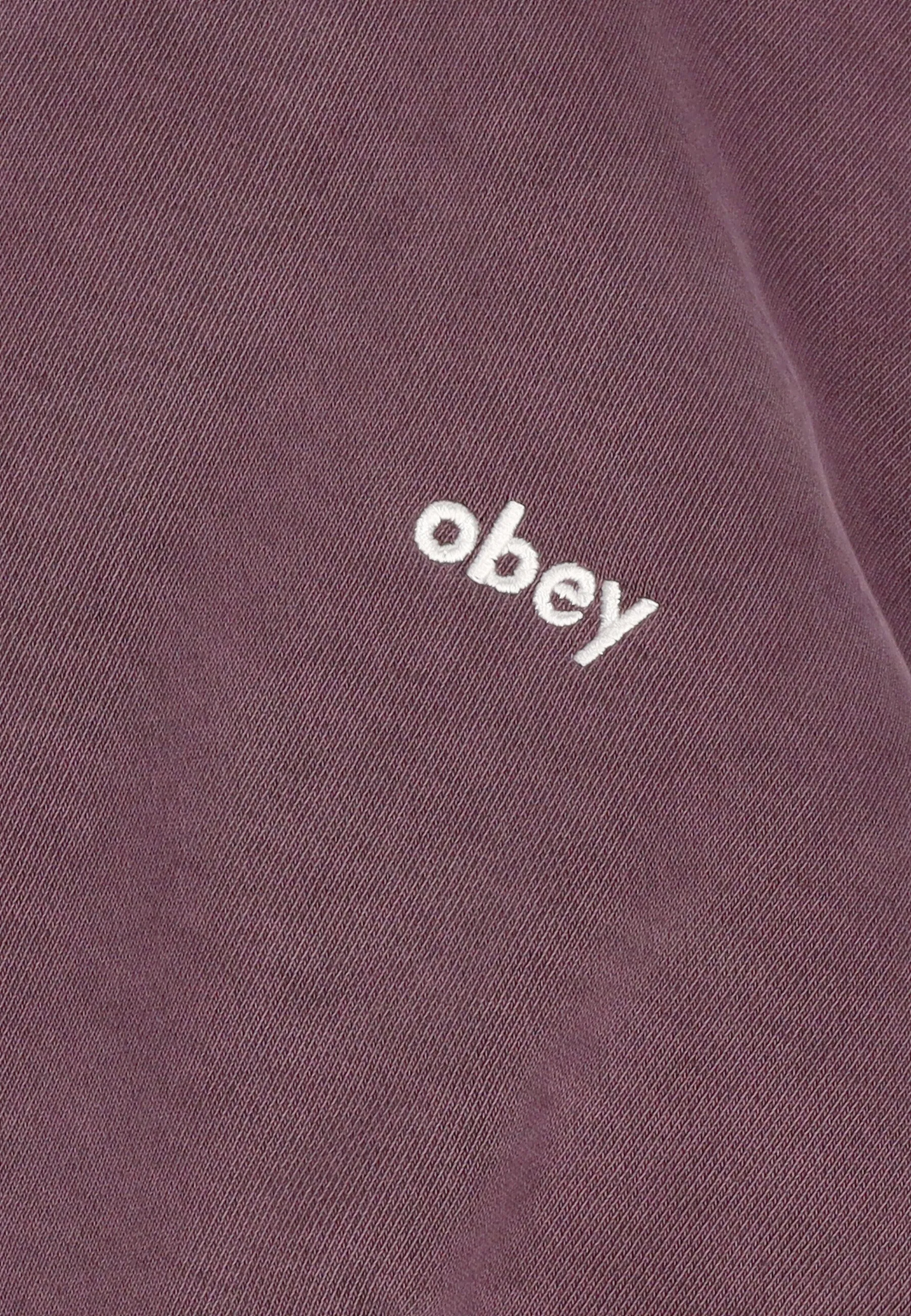 Felpa Leggera Cappuccio Uomo Lowercase Pigment Hoodie Fleece Pigment Plum Perfect